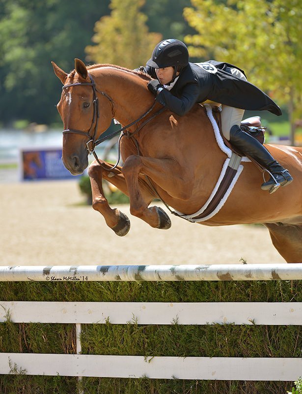 Liza Boyd - Success Equestrian