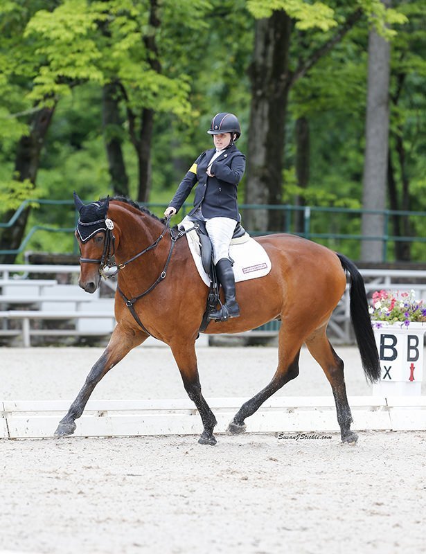 Sydney Collier - Success Equestrian