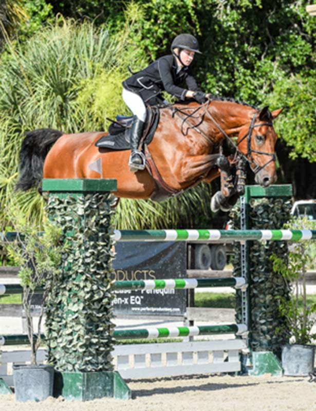 Adrian Jones - Success Equestrian